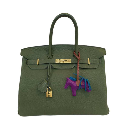 Hermes Birkin 35 Canopee Togo Leather Gold Hardware