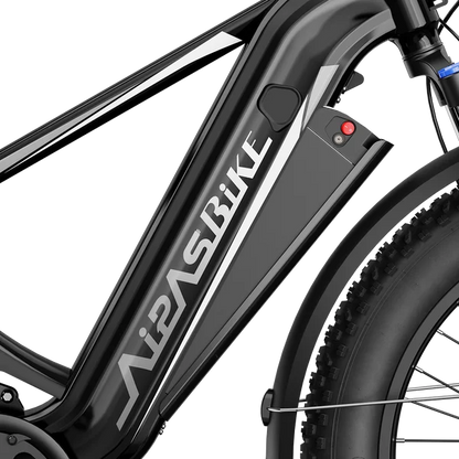 Aipas M2 Xterrain Ebike Aipas-M2-black Baskets.