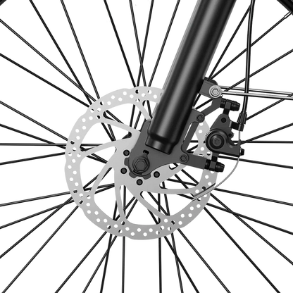 Aipas M2 Xterrain Ebike Aipas-M2-black Baskets.