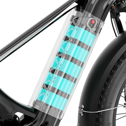 Aipas M2 Xterrain Ebike Aipas-M2-black Baskets.