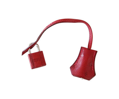 Hermes Kelly Sellier 25 Rouge Vif Ostrich Palladium Hardware