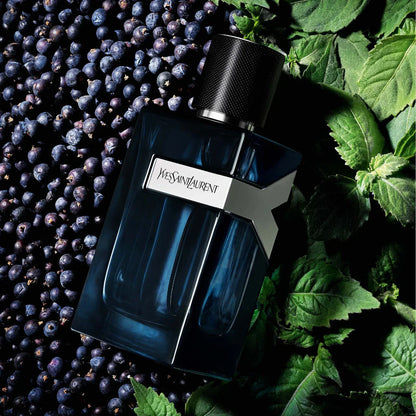 YSL Y Eau de Parfum Intense - Juniper & Lavender 100ml