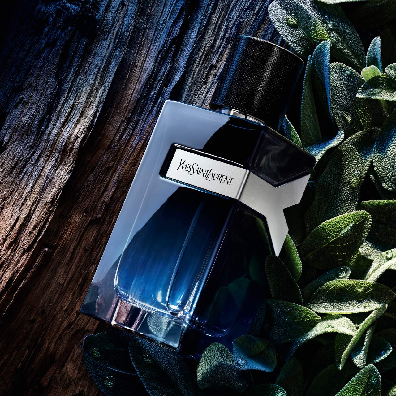 YSL Y Eau de Parfum - Fresh Geranium & Sensual Woods 100ml