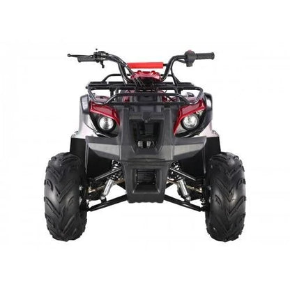 Tao Motors D125 Kids ATVs